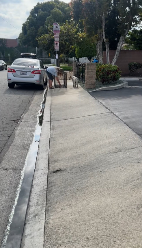 woman and dog on street