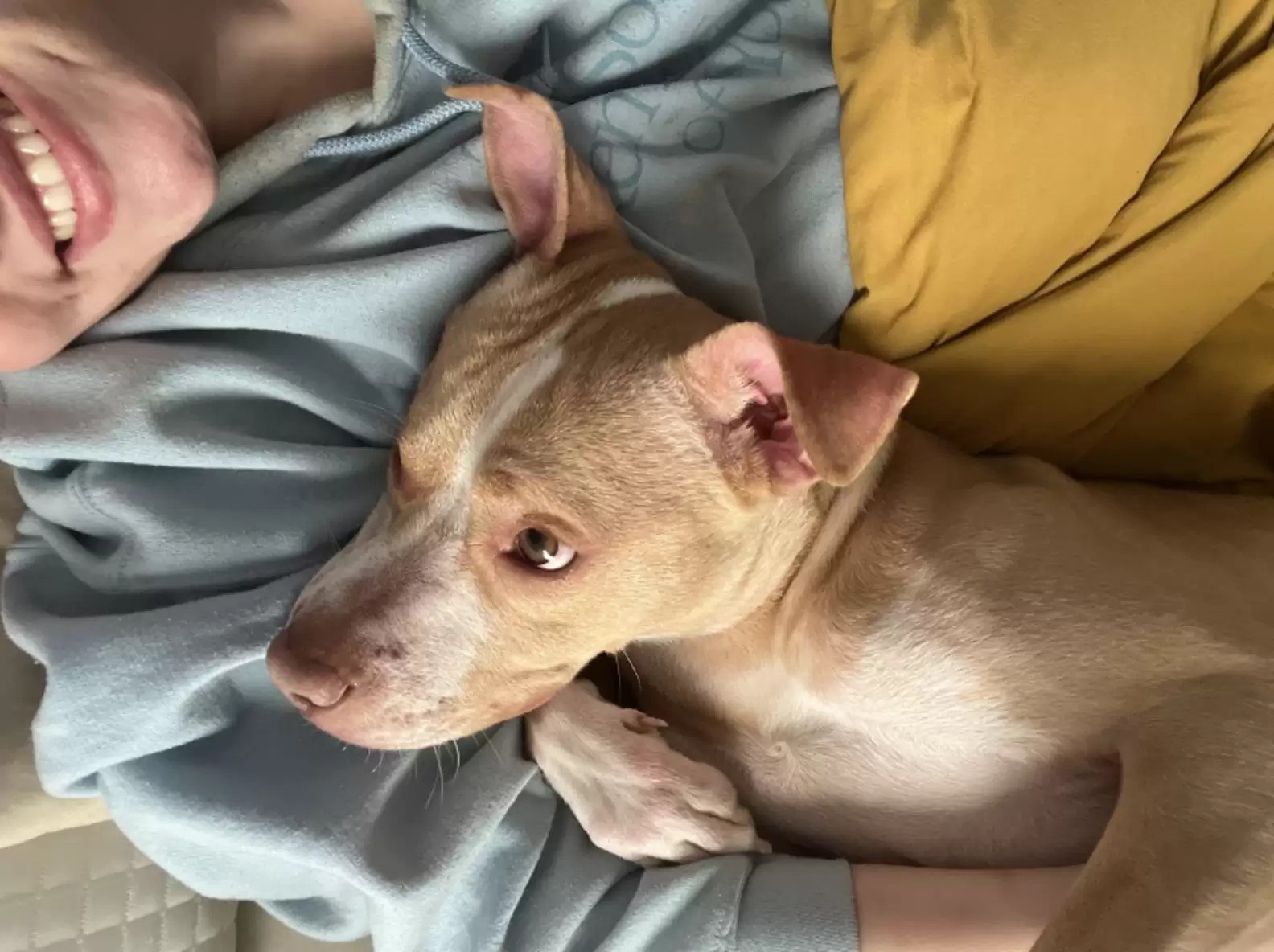 woman and her dog