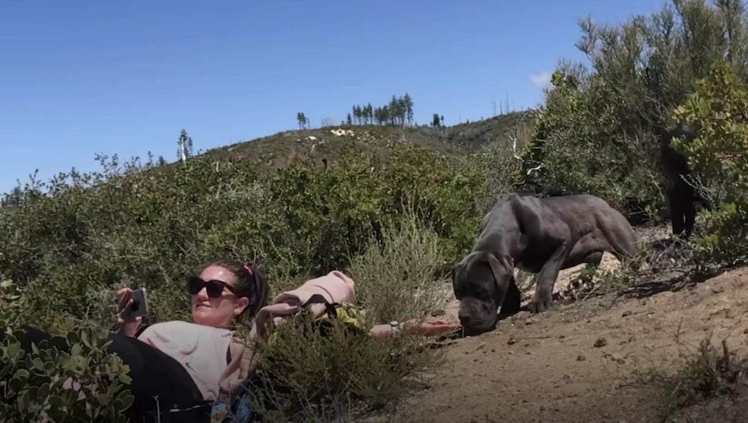 woman and senior dog