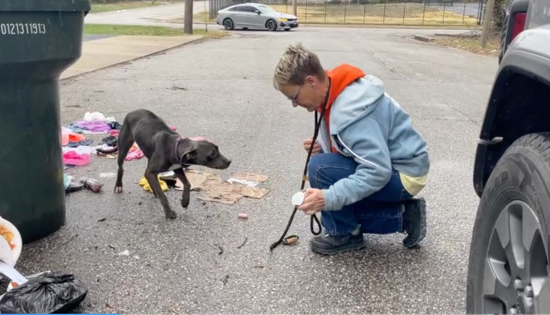 woman and stray dog