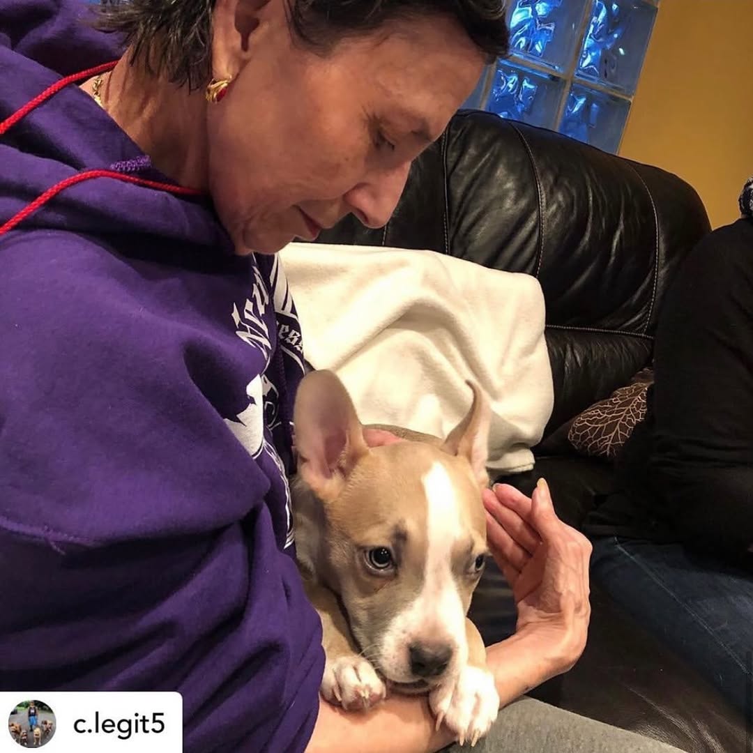 woman and sweet dog