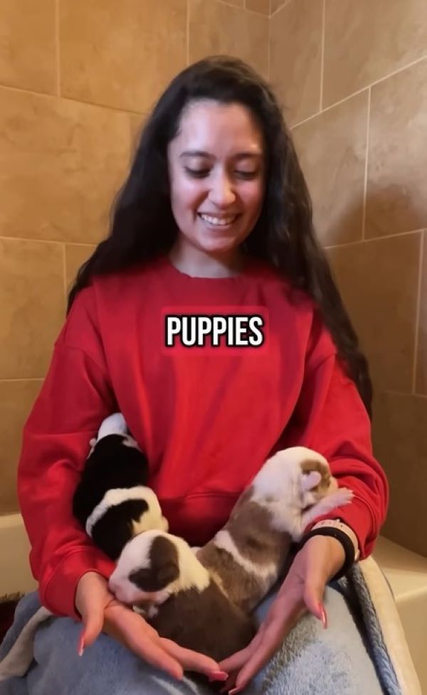 woman and three puppies
