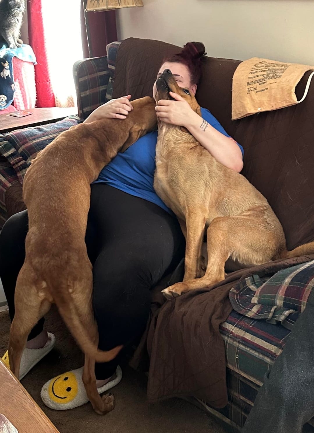 woman and two dogs