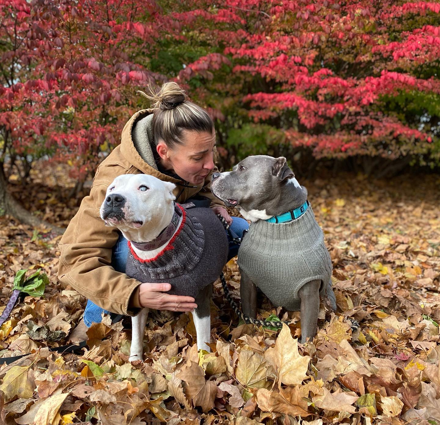 woman and two dogs