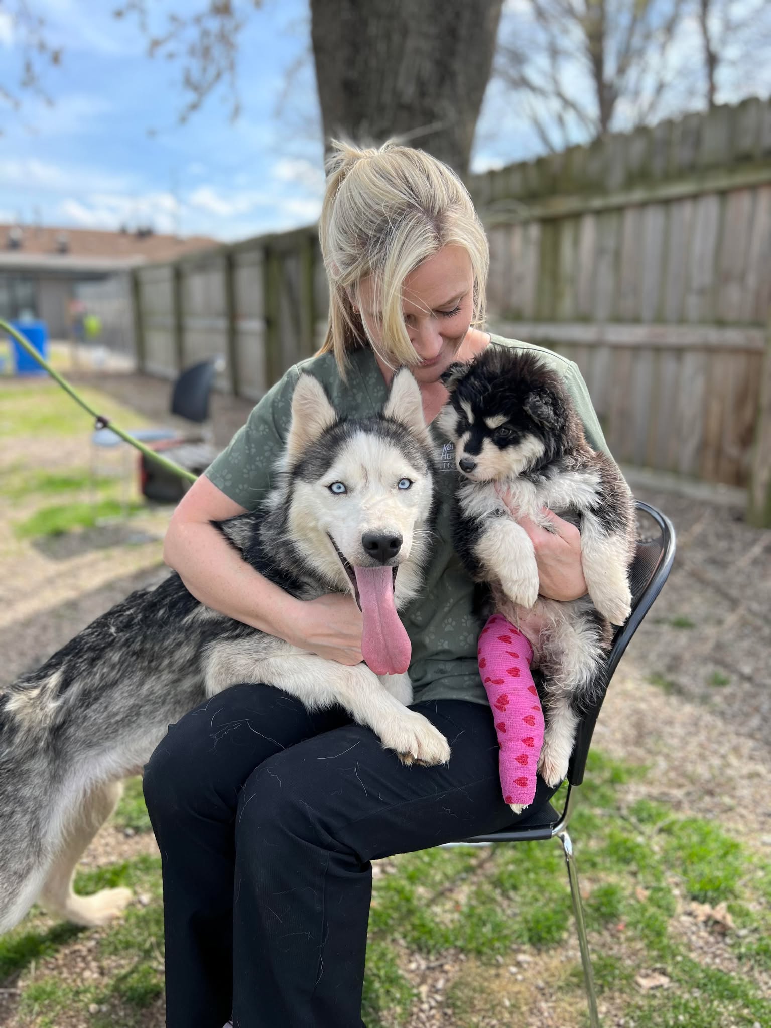 woman and two huskies