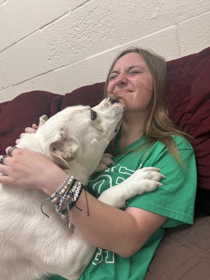 woman and white dog