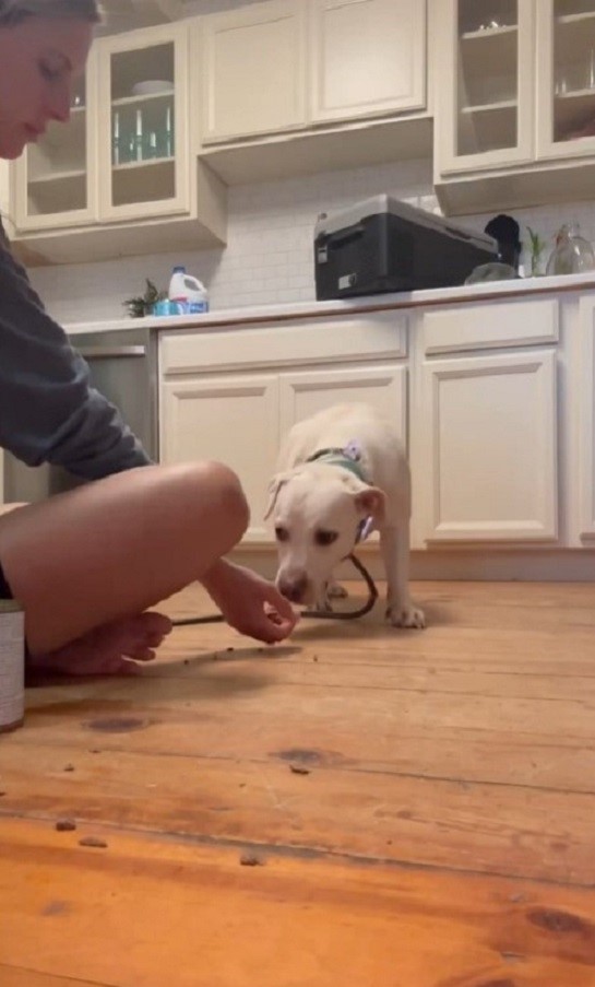 woman and white dog in house