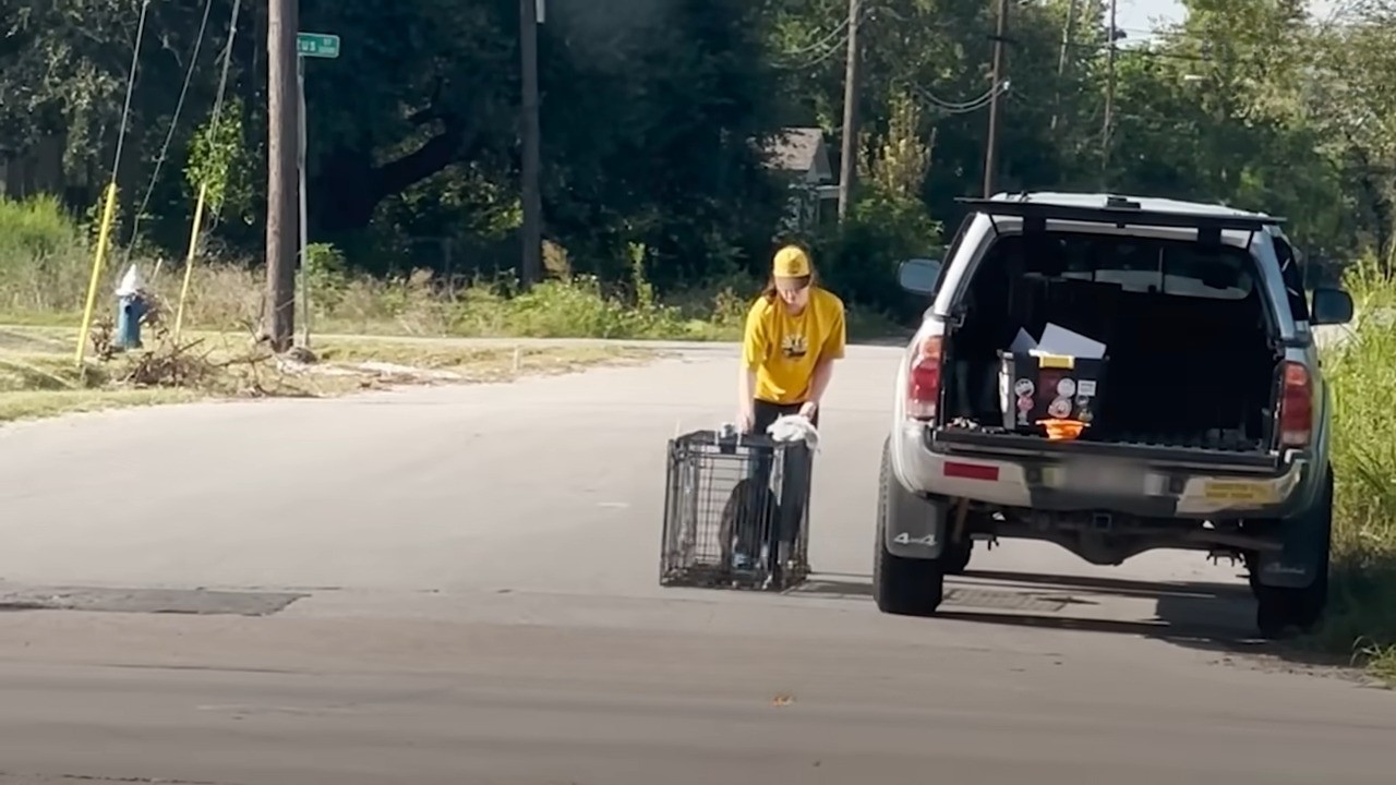 woman catching a stray dog