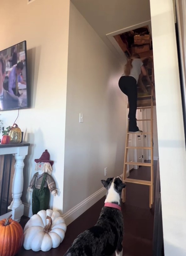 woman climbing on a ladder