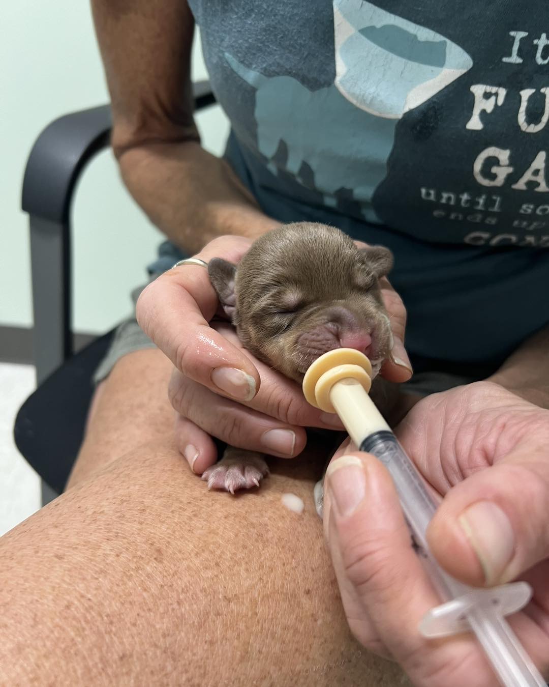 woman feeding a newborn dog