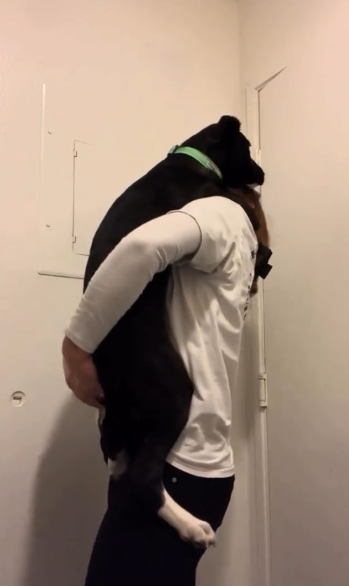 woman holding a big black dog