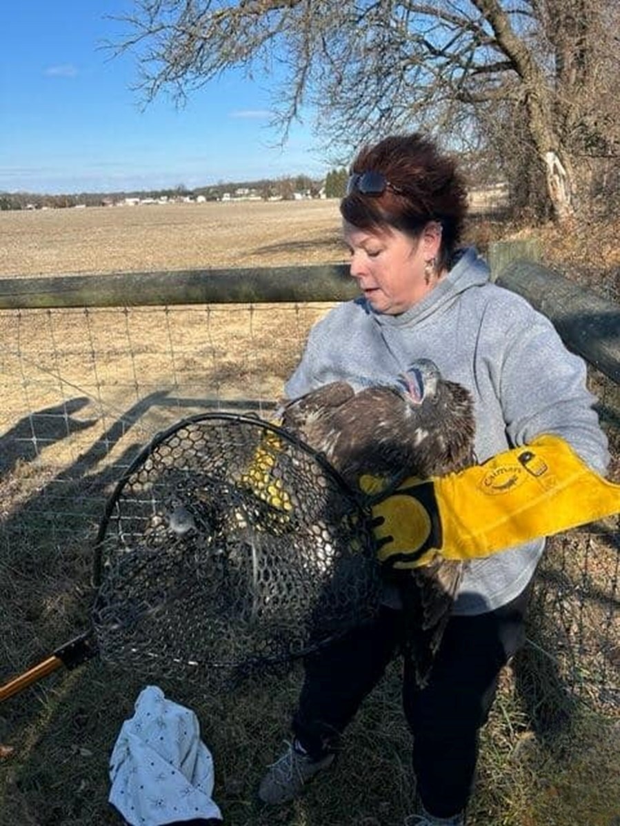 woman holding a bird