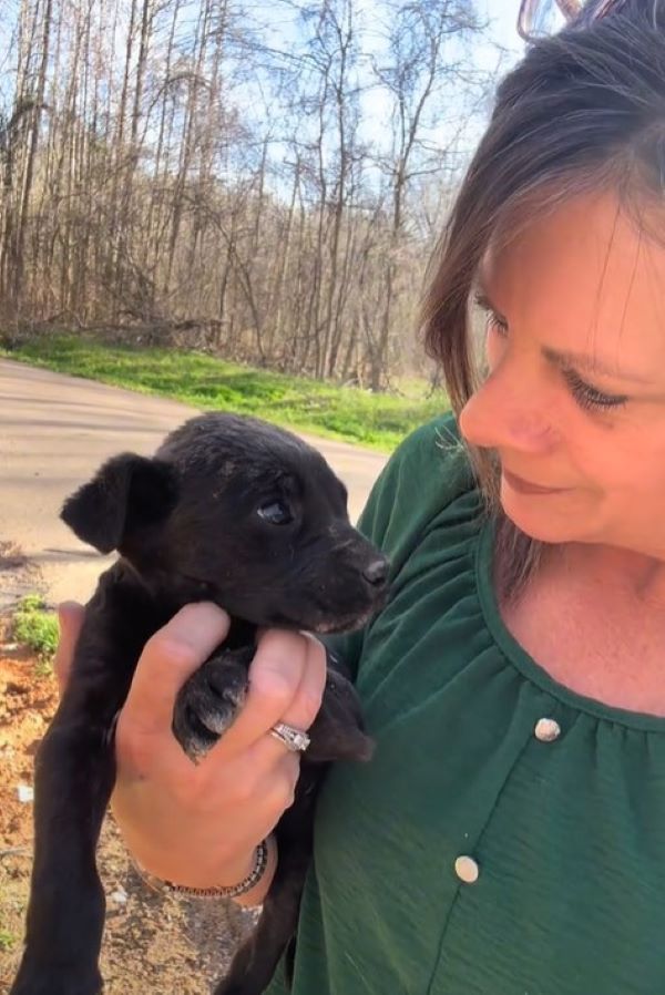 woman holding a black puppy