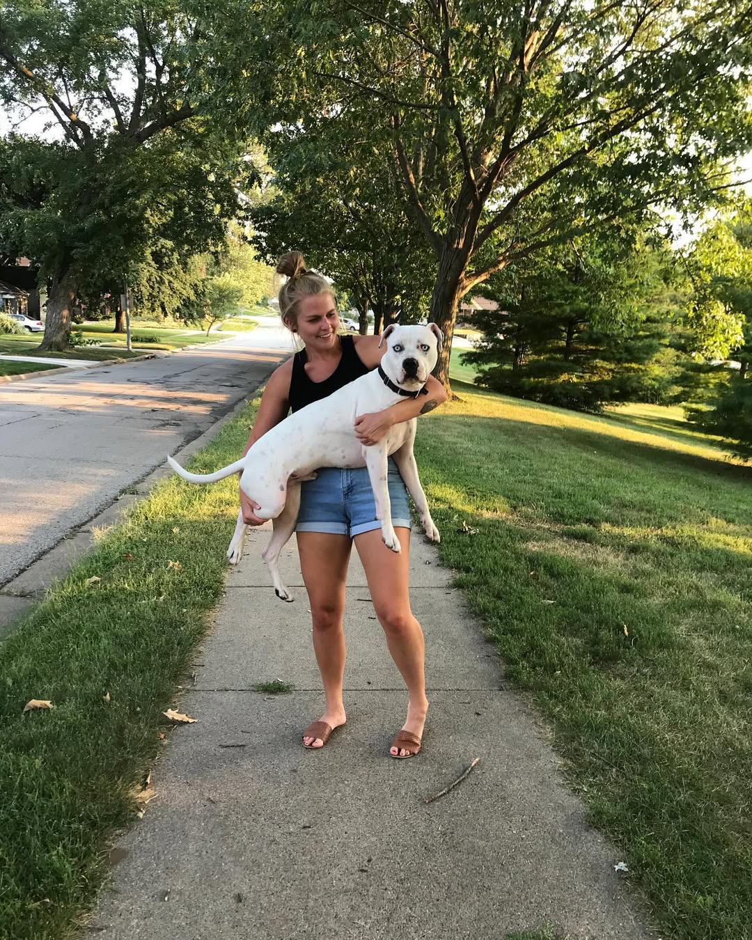 woman holding a huge white dog