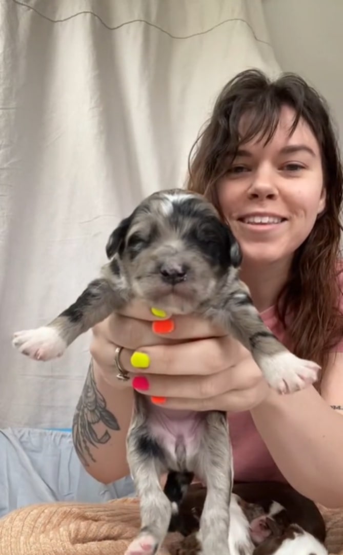 woman holding a puppy
