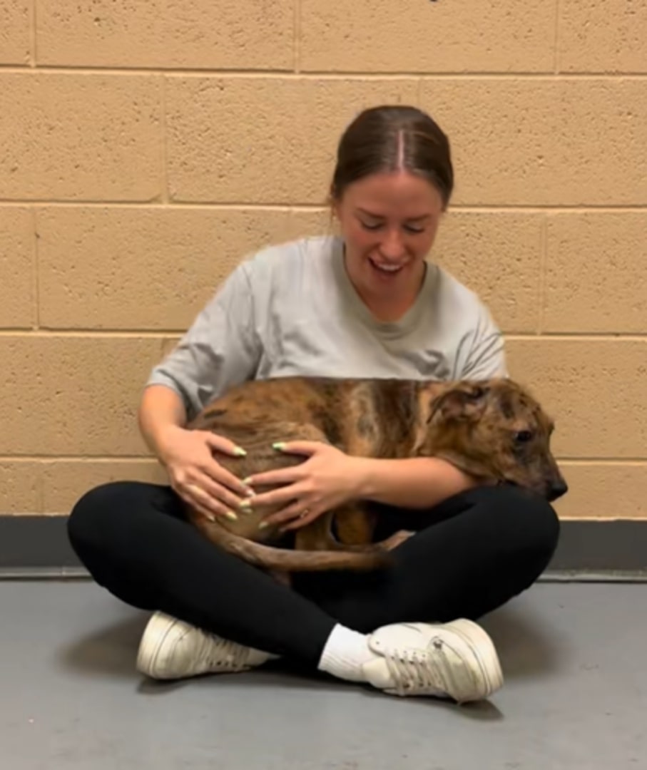 woman holding a shelter dog