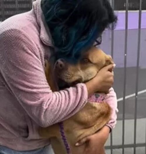 woman hugging a dog
