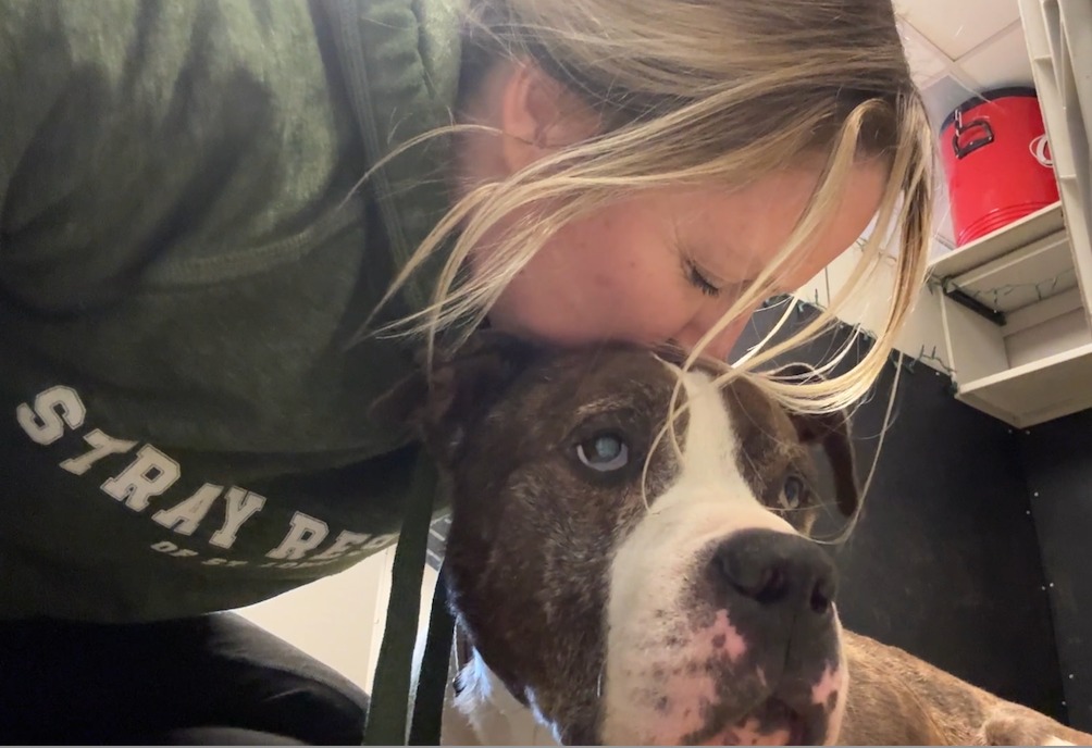 woman kissing a dog
