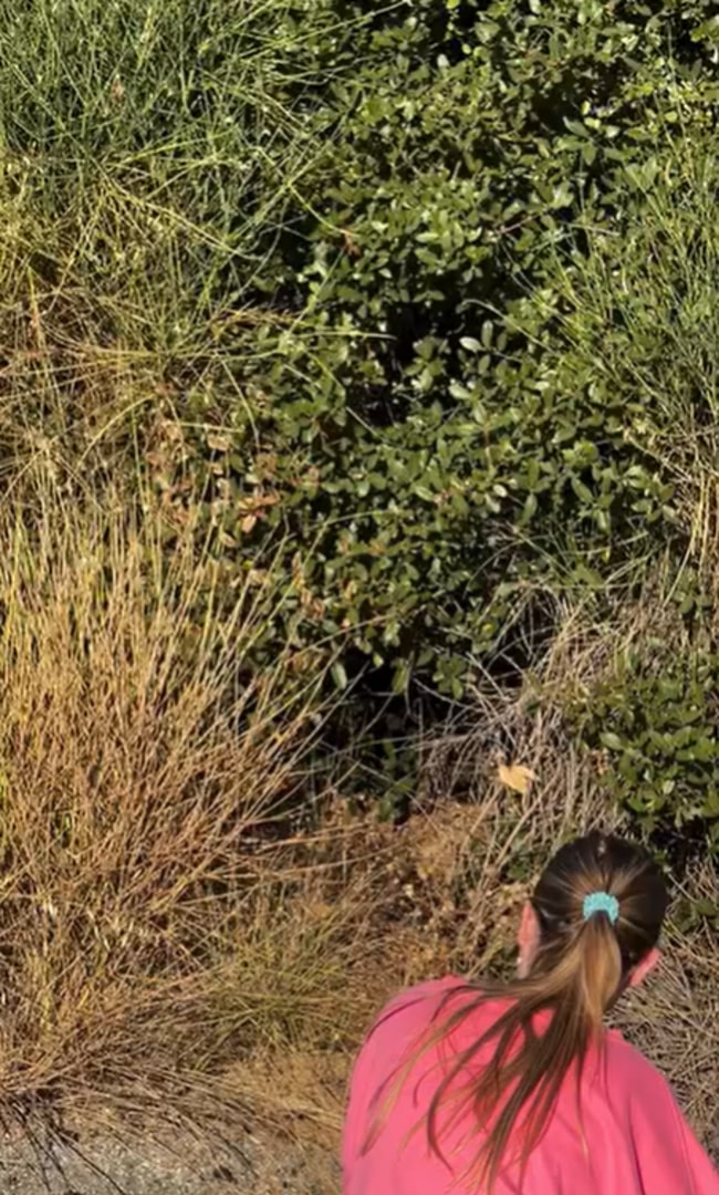 woman near bushes