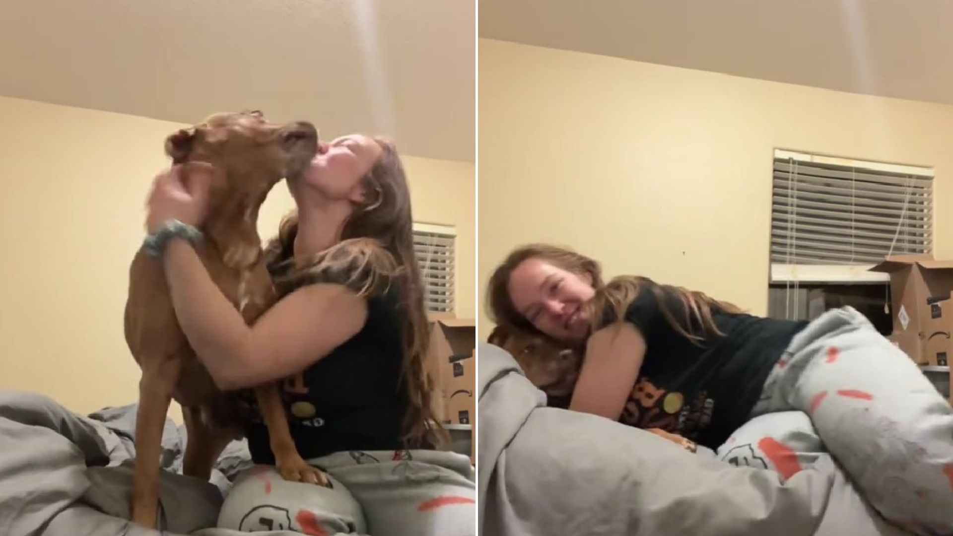 woman playing with dog