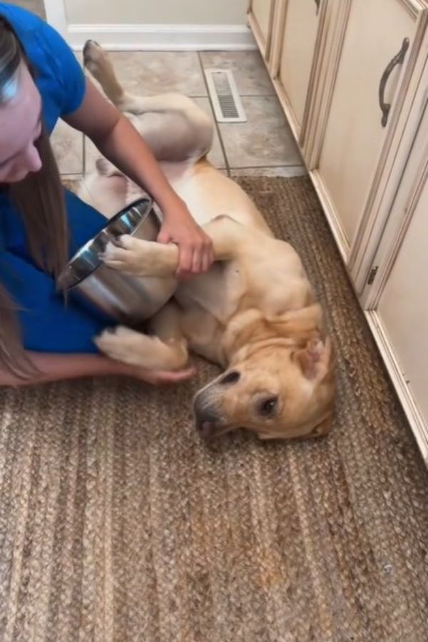 woman playing with dog