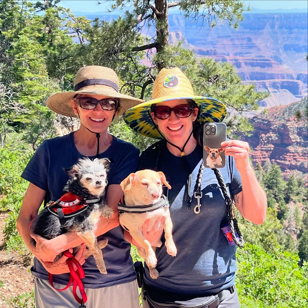 women and dogs