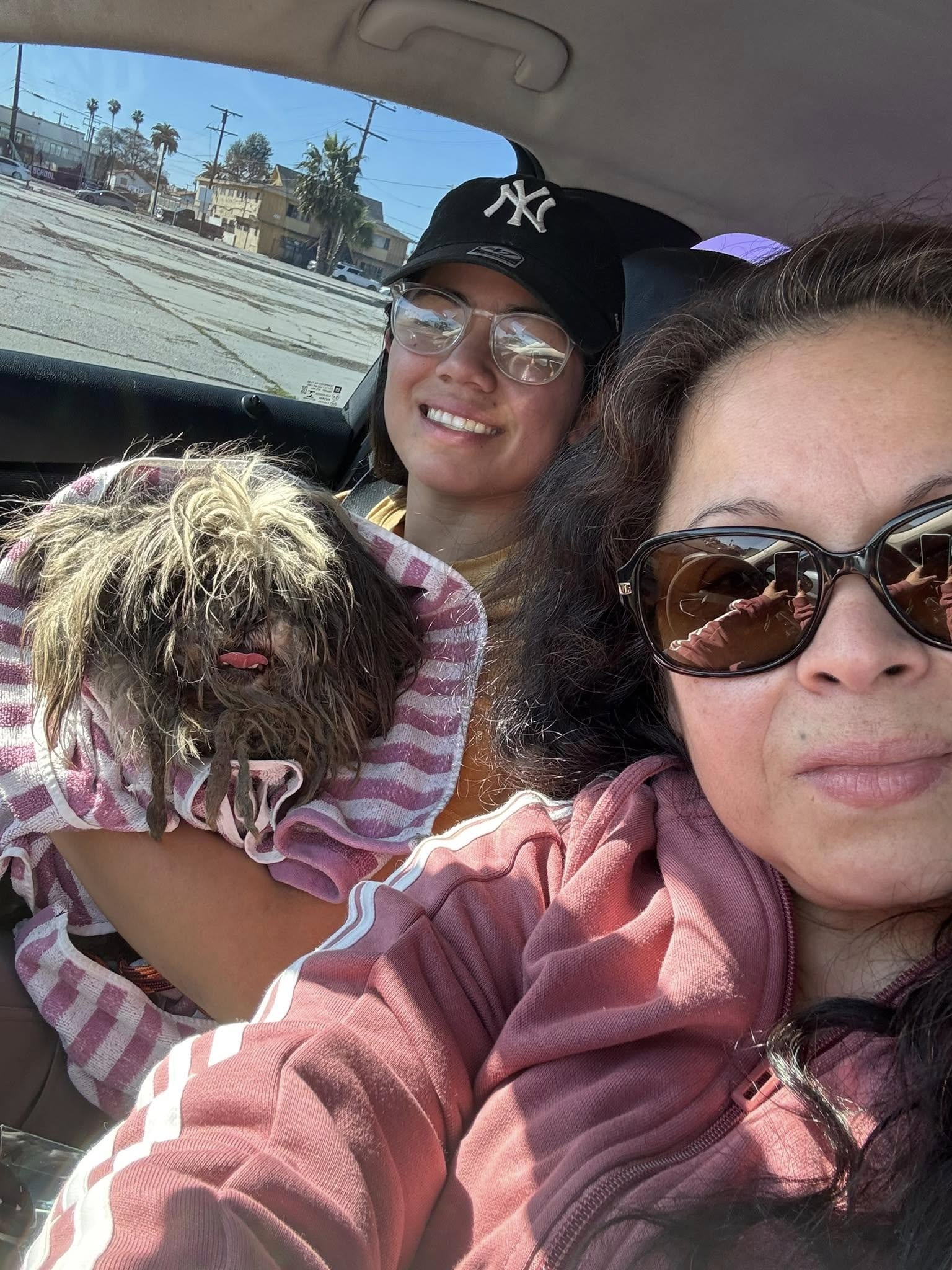 women and stray dog in car
