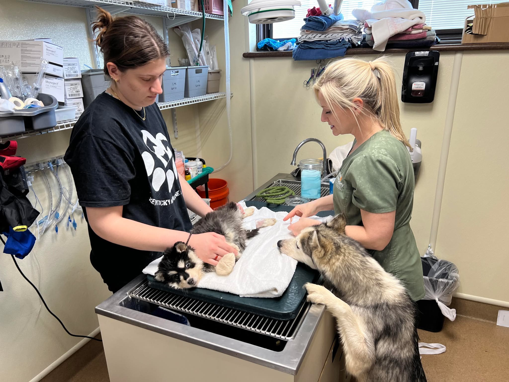 women and two dogs