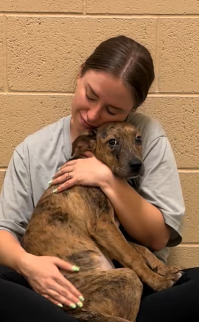 young woman and dog