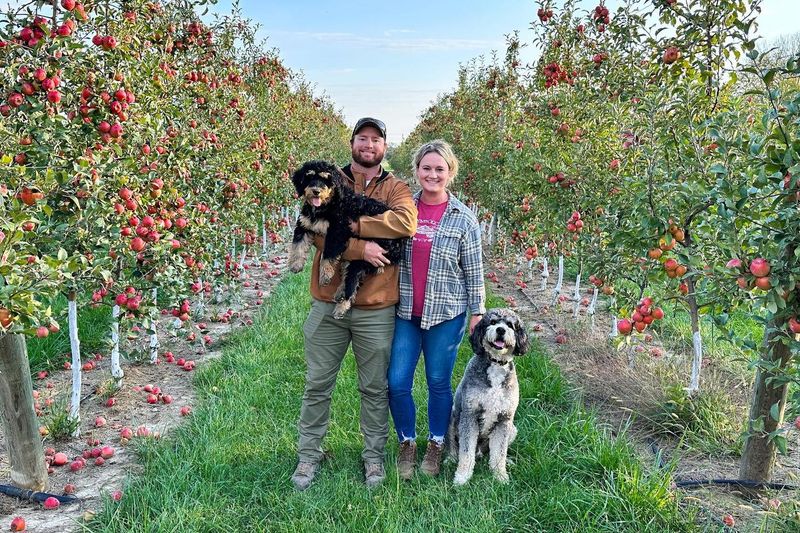 Beasley's Heartland Apple Festival — Danville, IN