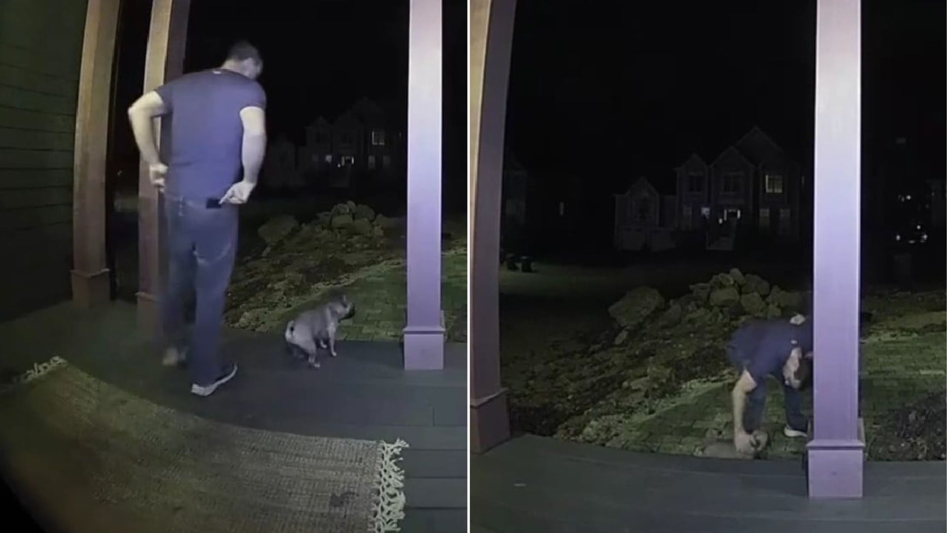 Massachusetts Pup’s Clumsy Stair Fall Turns Into The Cutest Viral Moment Ever