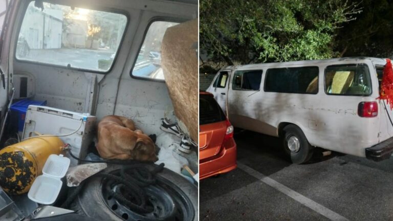 abandoned van