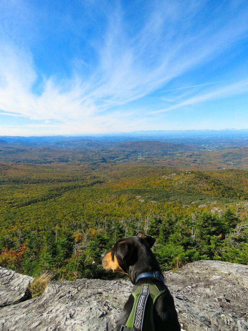 Sunset Ridge Trail (Mount Mansfield)