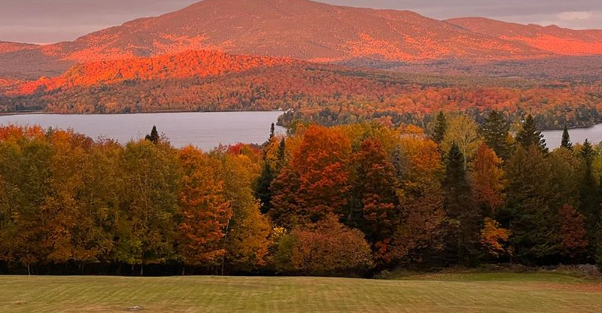 Best Leaf-Peeping Drives With Dog-Friendly Stops In Maine