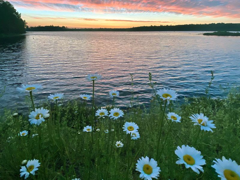 Katahdin Woods' North Country Splendor