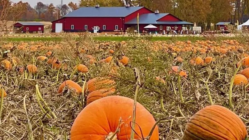 Lehner's Pumpkin Farm — Radnor