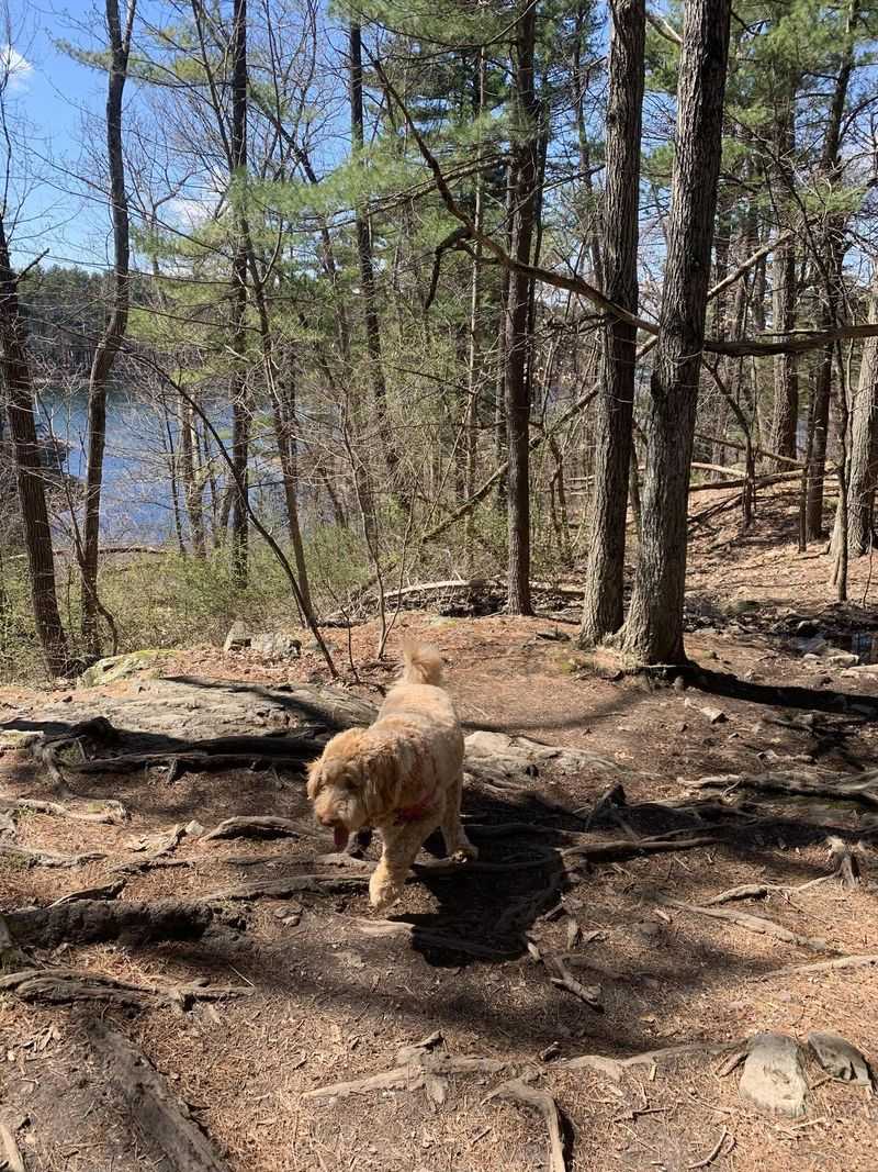 Middlesex Fells Reservation