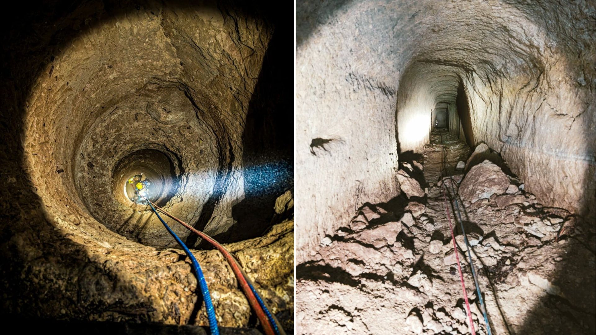 California Dog Plunges 60 Feet Into A Mine Shaft Before Firefighters Pull Off Miracle Rescue