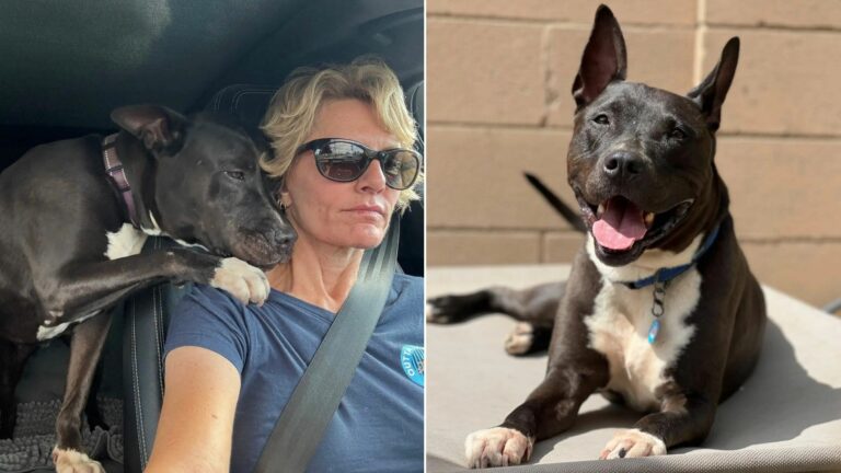woman and black dog