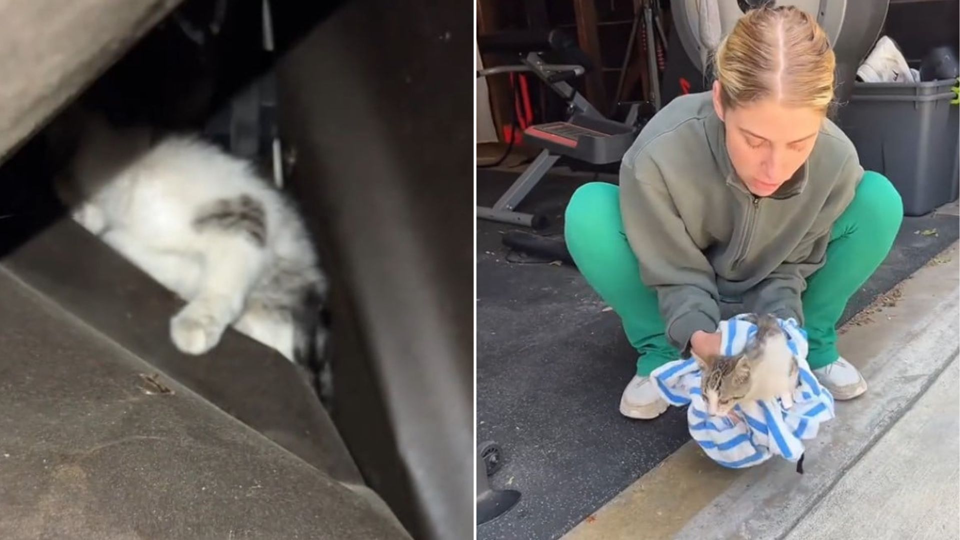 California Woman Spots Tiny Shadow In Her Garage And Uncovers A Heart-Tugging Surprise