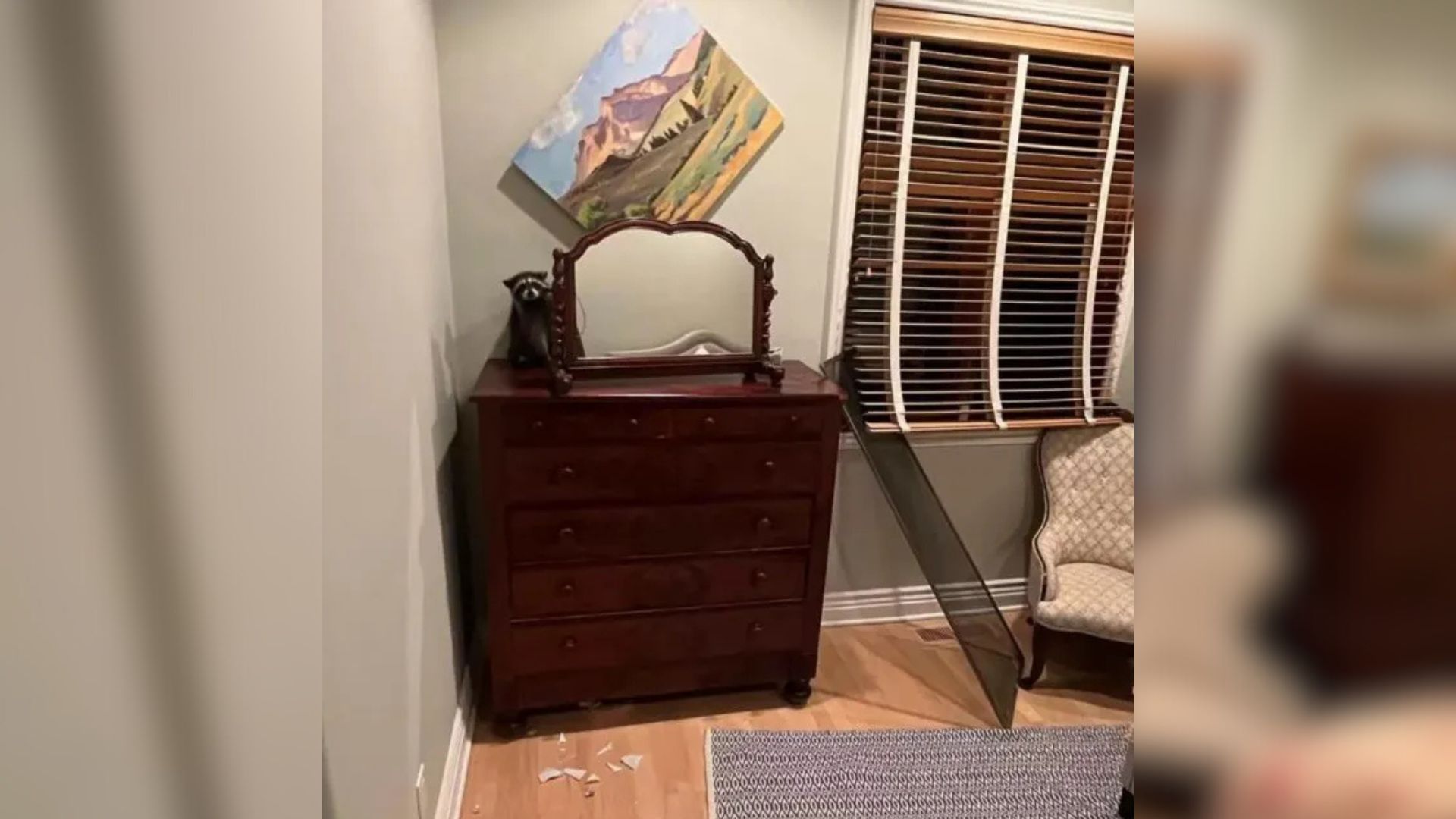 California Woman Woken By Loud Noise Never Expected To See Such A Cute Visitor
