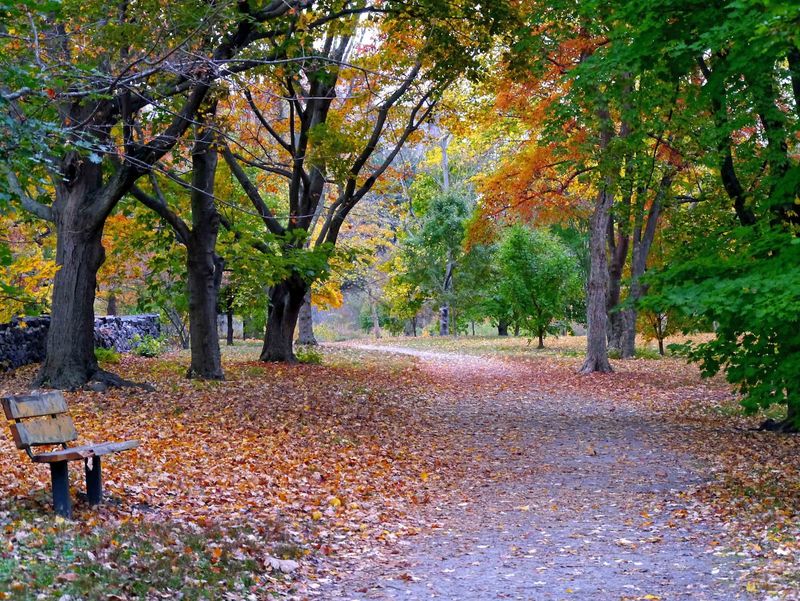 Arnold Arboretum in Boston