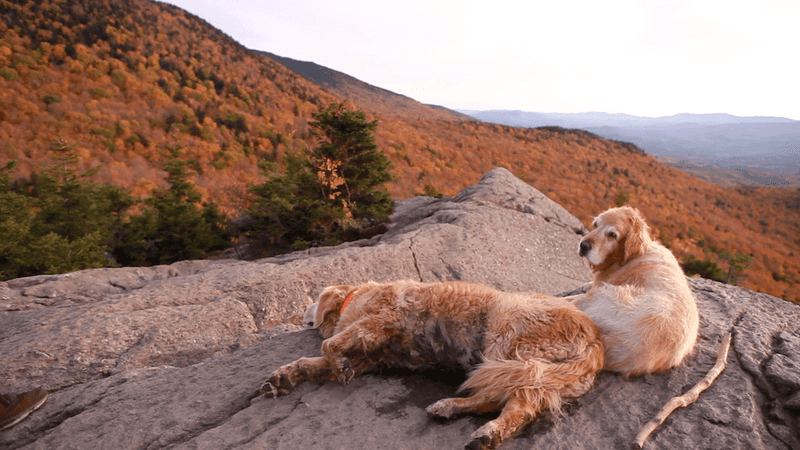 Stowe Pinnacle Trail