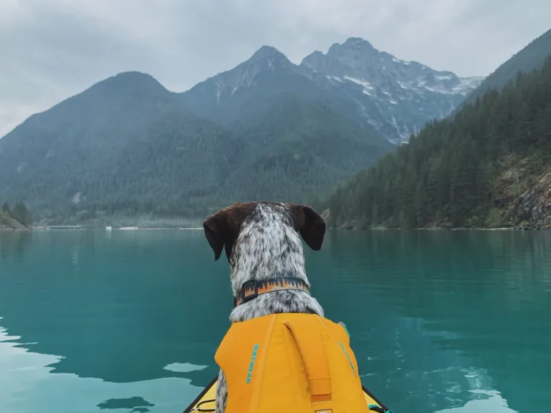 Ross Lake National Recreation Area