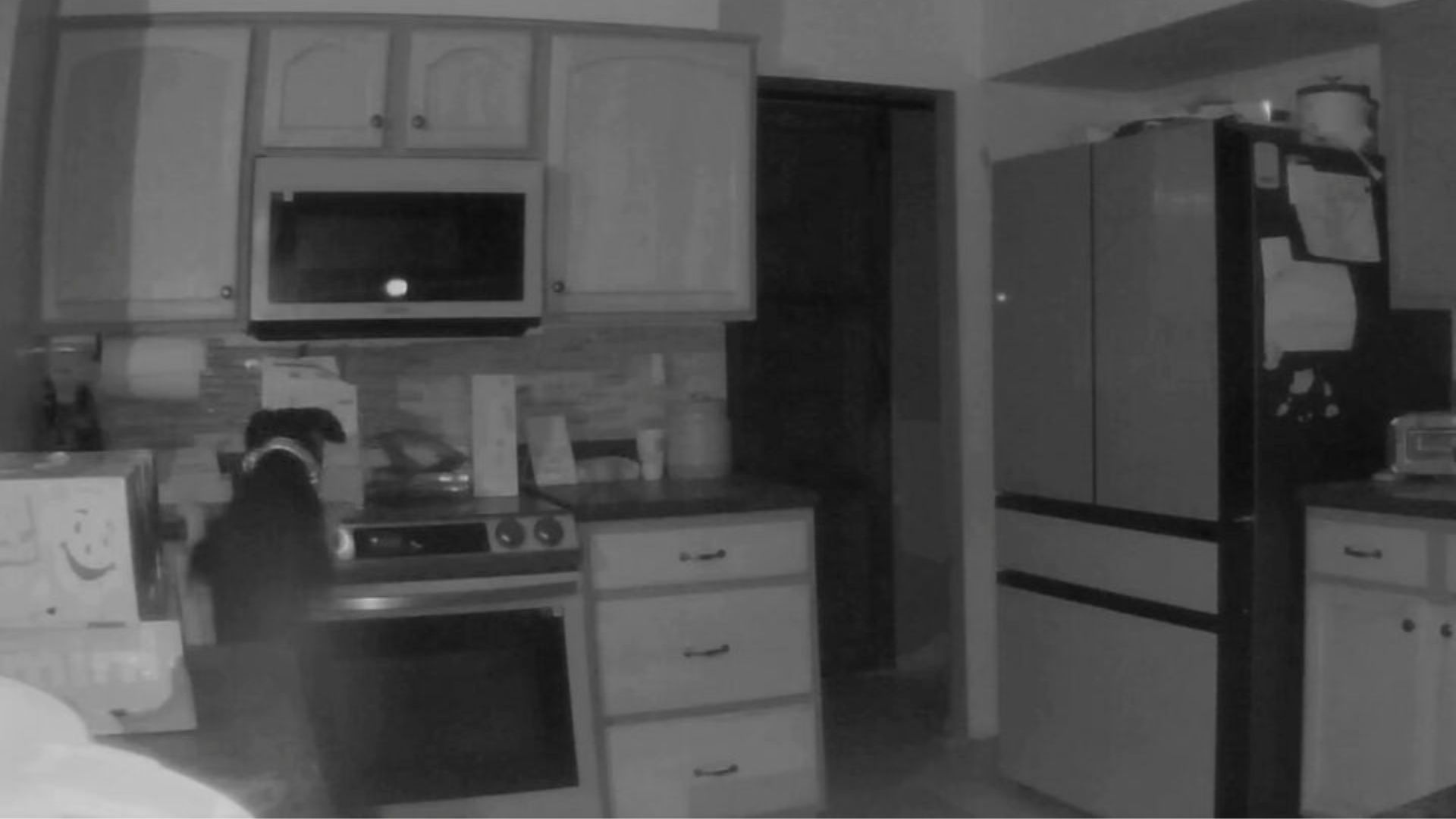 Colorado Family Wakes To Flames After Their Dog’s Curious Paw Turns On The Stove