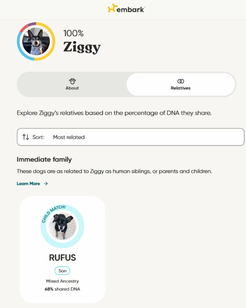 DNA of dog