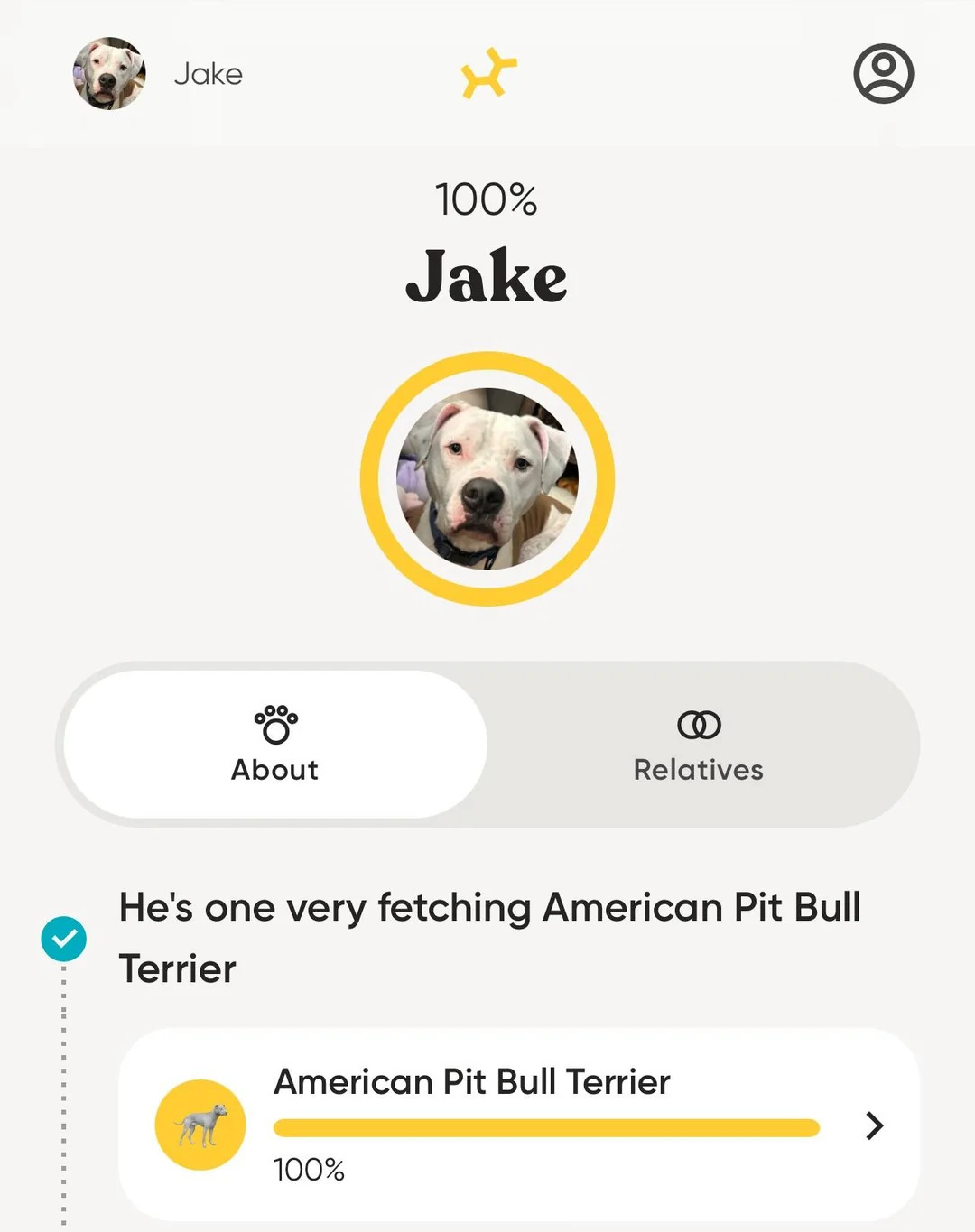DNA of dog