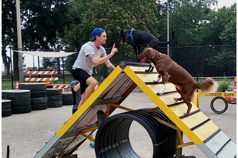 Jackson Bark: Chicago's Upcycled Playground