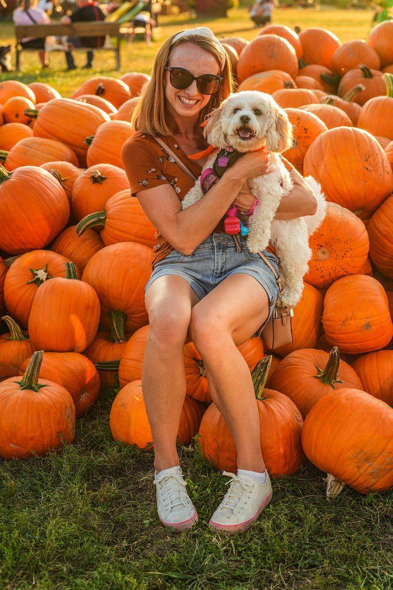 Blooms & Berries Farm Market — Loveland