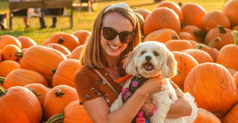 Dog-Friendly Pumpkin Patches In Ohio You Didn’t Know About